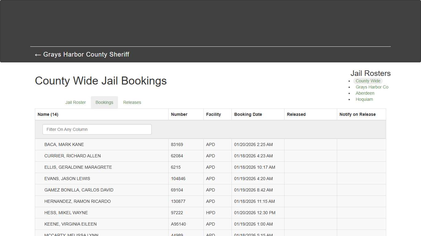 County Wide Jail Bookings